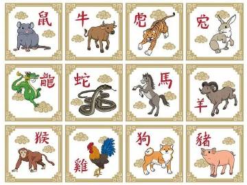 避其锐气打一正确生肖的全面释义、解释与落实、专家解答解释落实